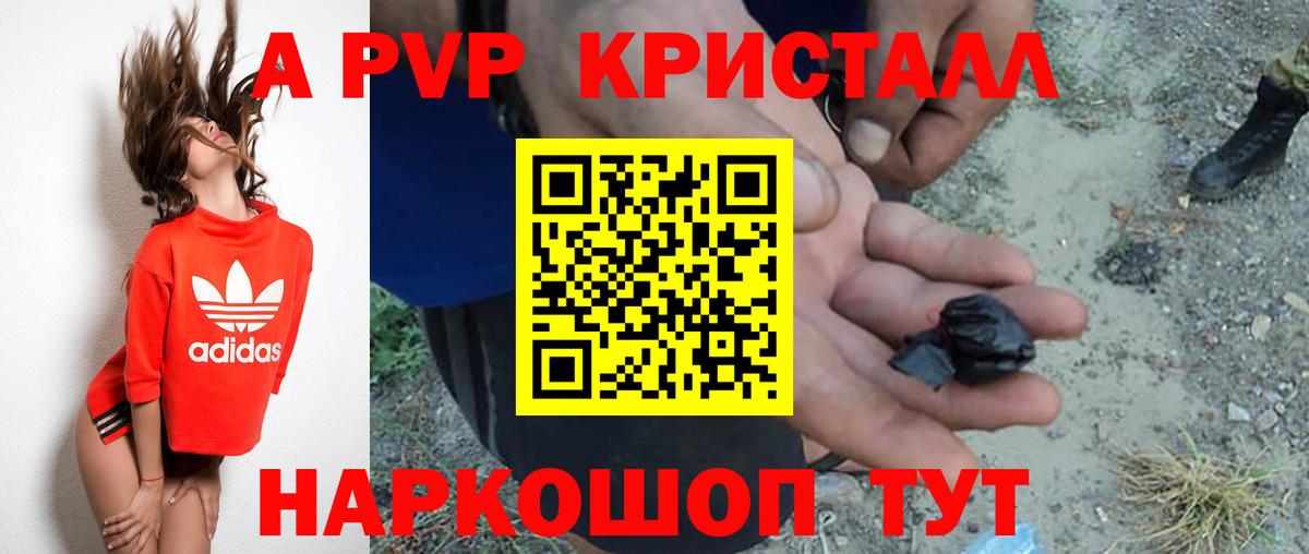 Альфа ПВП СК КРИС  Alfa_PVP  Светлоград  где найти   Вход с VPN  A PVP крисы CK 