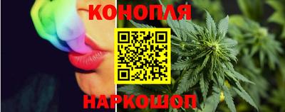 дмт Новозыбков