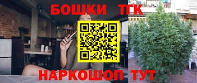 дмт Новозыбков