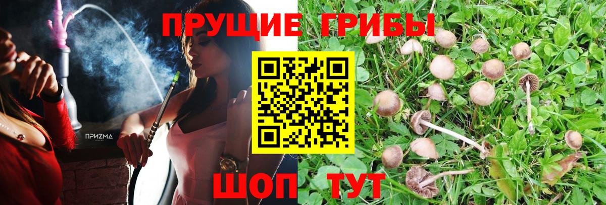 Галлюциногенные грибы MAGIC MUSHROOMS  Вход с VPN  Светлоград  Галлюциногенные грибы мухоморы 