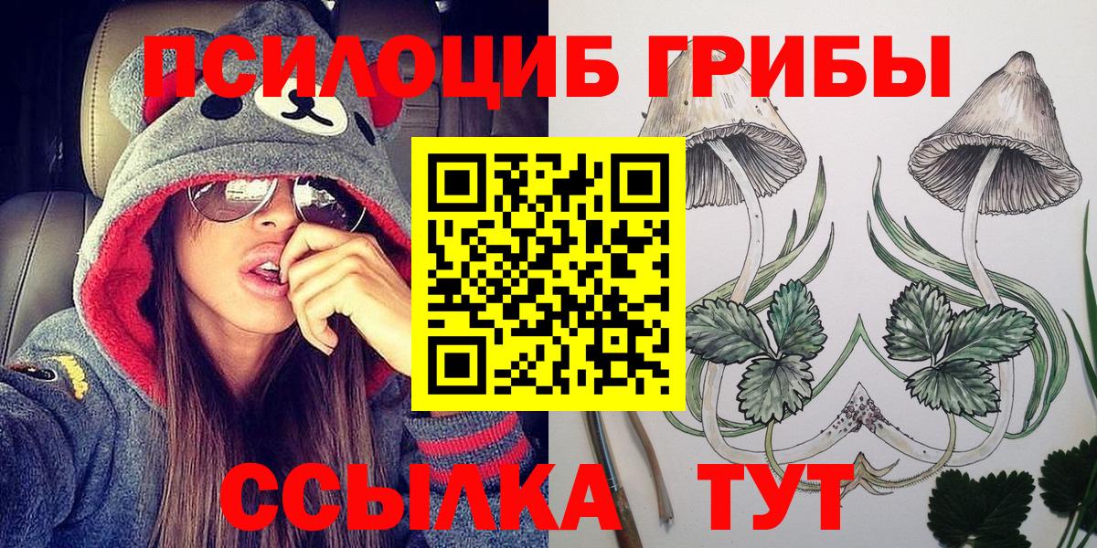 Псилоцибиновые грибы Psilocybine cubensis Светлоград